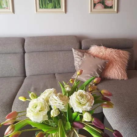 Apartman Mediterrán Pécs