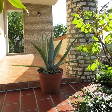 Apartman Mediterrán *