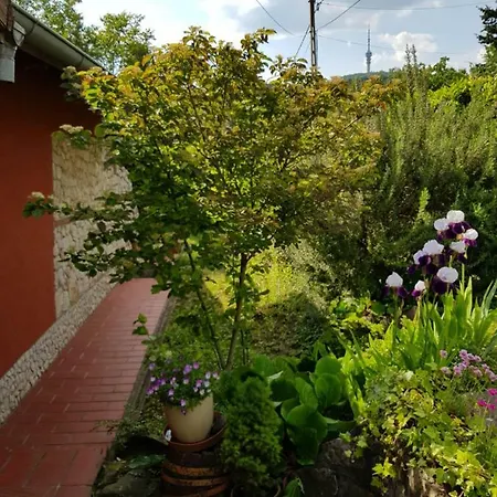 Apartman Mediterrán *